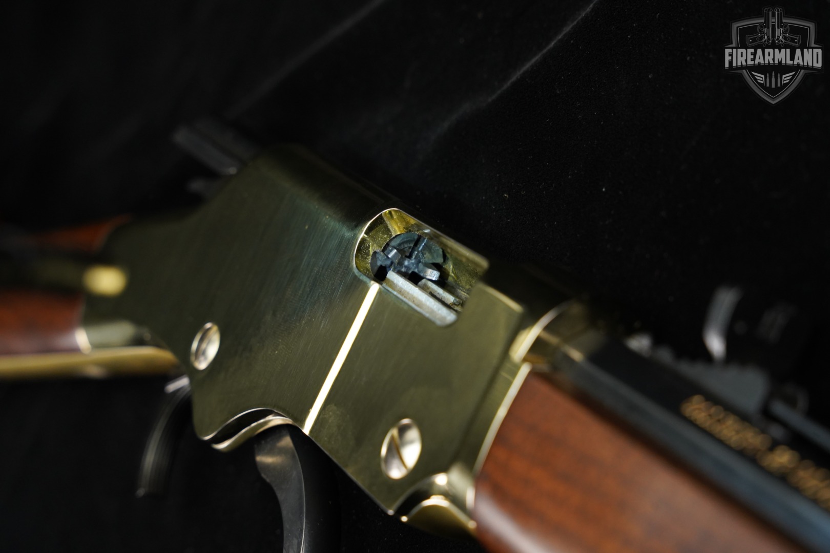 Henry Golden Boy 22LR 20" Gold-Tone & Hardwood H004 +ORIG BOX-img-21