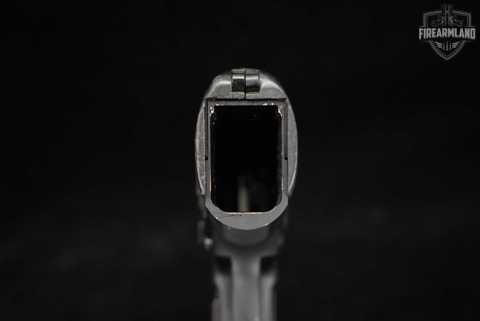 Sig Sauer P226 R 40 S&W 4.4 P 226 DA/SA-img-7