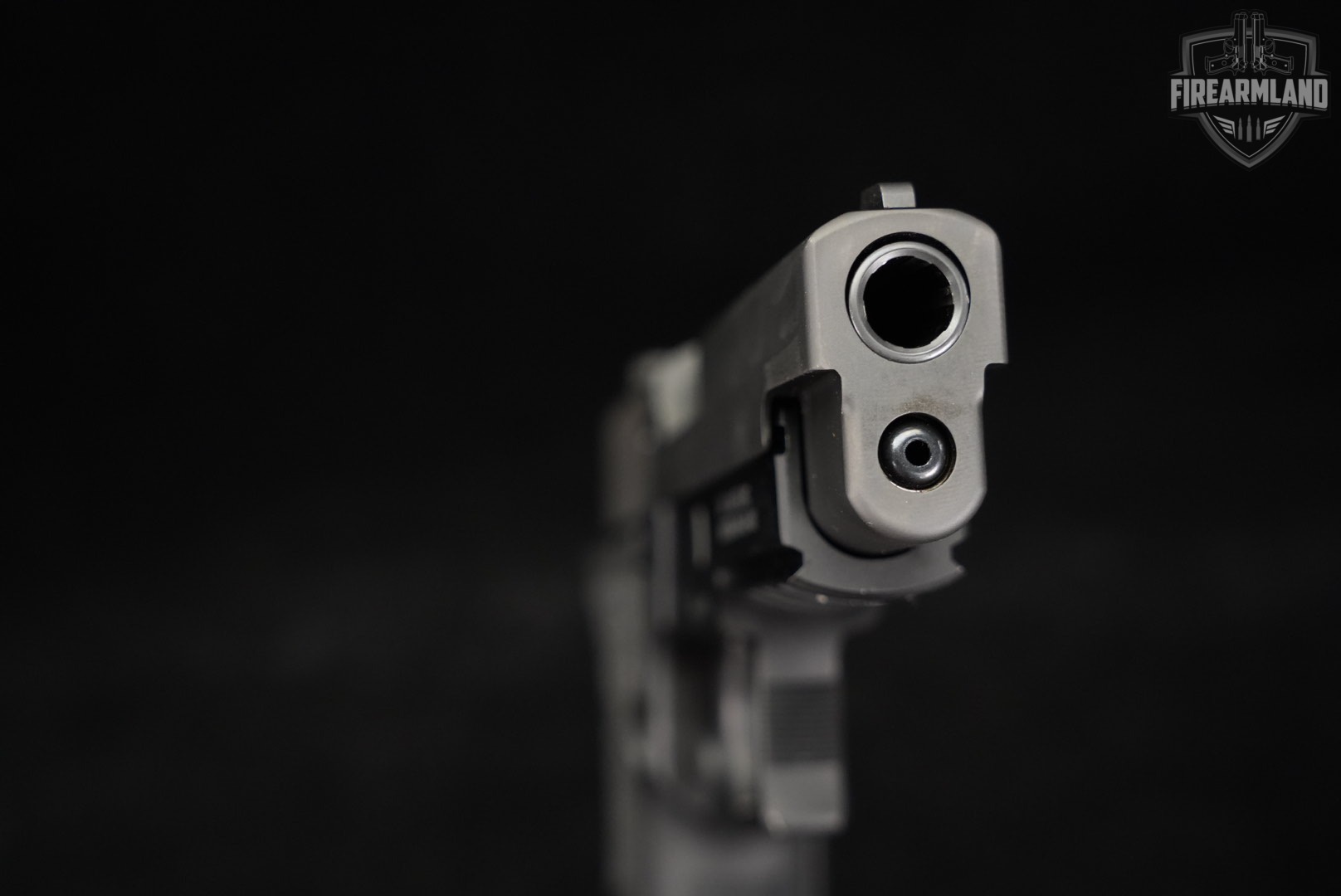 Sig Sauer P226 R 40 S&W 4.4 P 226 DA/SA-img-9