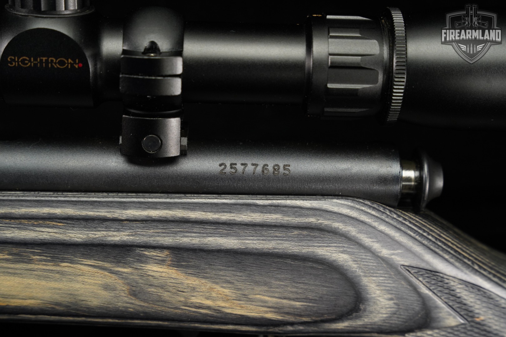 Savage Arms Mark II 22LR 21" Blued & Gray Laminate MK 2 +SIGHTRON SCOPE-img-20