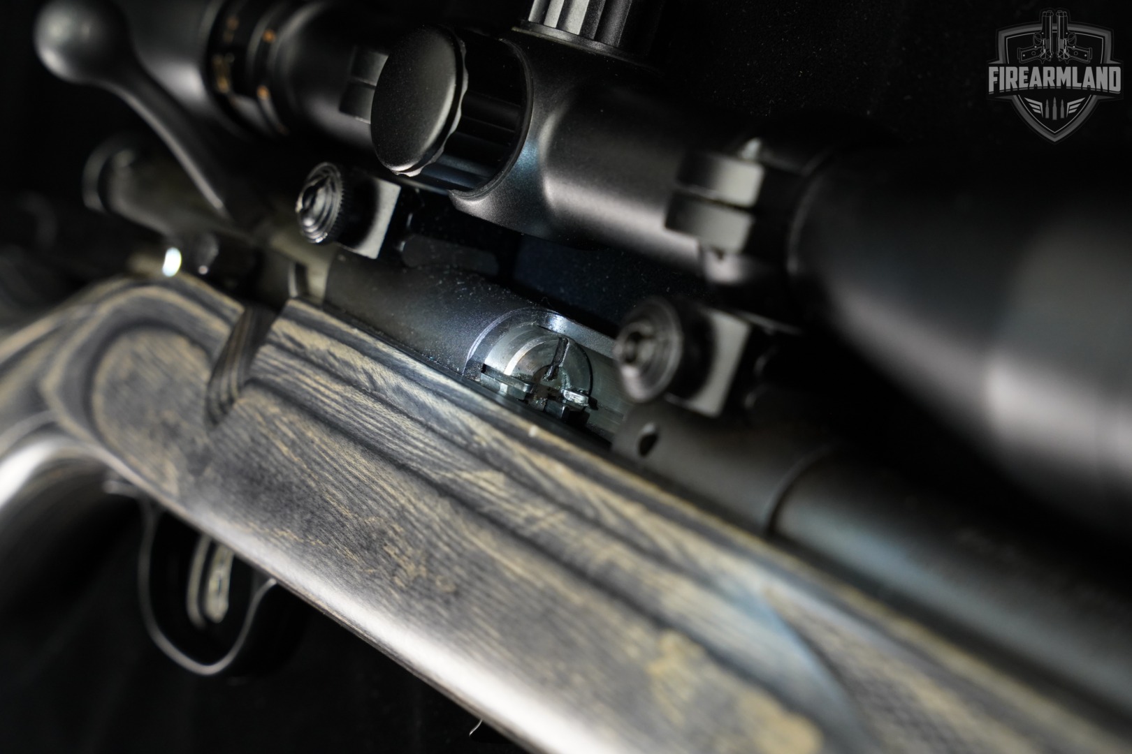 Savage Arms Mark II 22LR 21" Blued & Gray Laminate MK 2 +SIGHTRON SCOPE-img-23