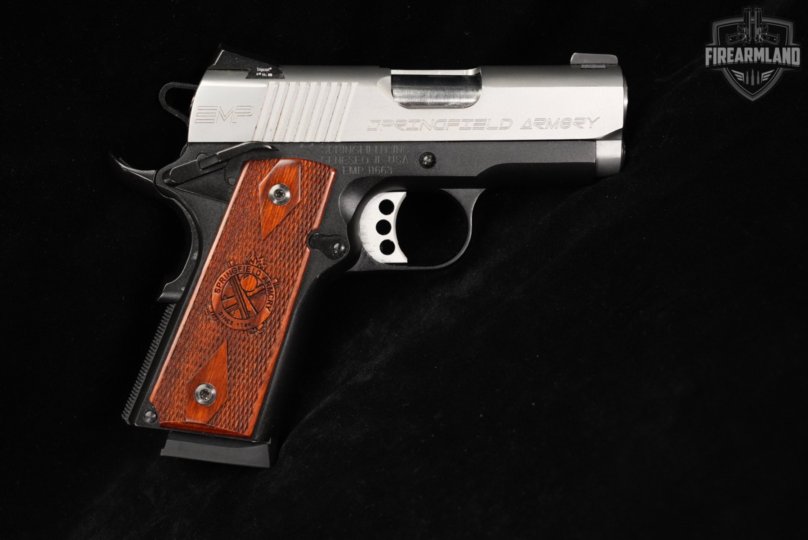 Springfield Armory EMP 40 S&W 1911 Two-Tone Stainless +3 MAGS-img-4