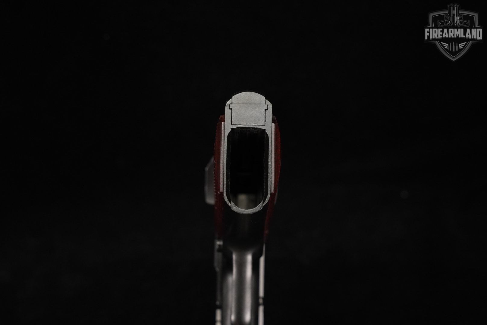 Springfield Armory EMP 40 S&W 1911 Two-Tone Stainless +3 MAGS-img-7
