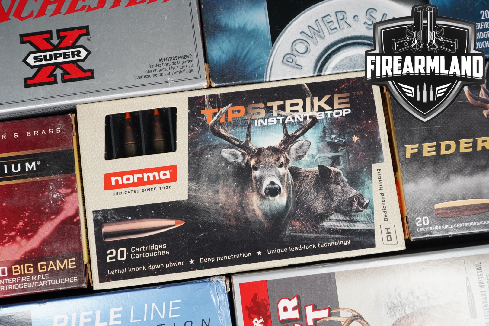 200 RDS! 30-06 Ammo 3006 Ammunition-img-0