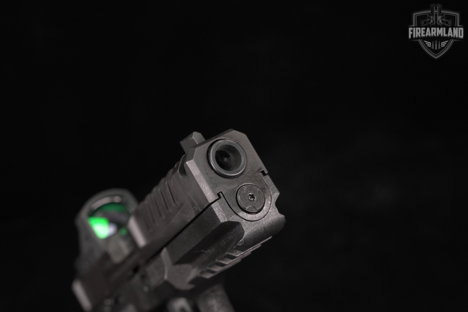 Springfield Armory Echelon 9mm 4.5" +4 MAGS, BAG, VIRIDIAN OPTICS-img-10
