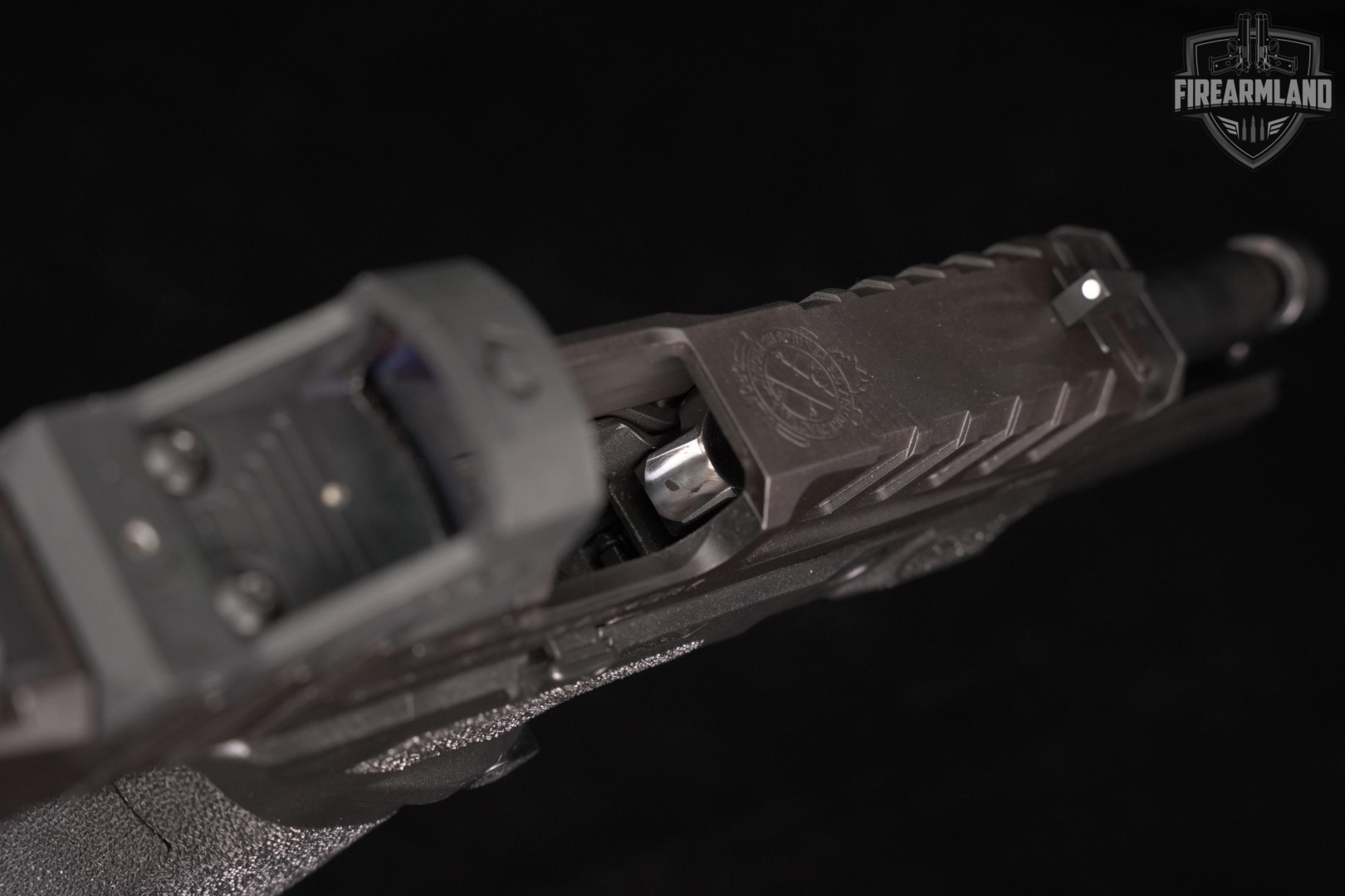 Springfield Armory Echelon 9mm 4.5" +4 MAGS, BAG, VIRIDIAN OPTICS-img-11