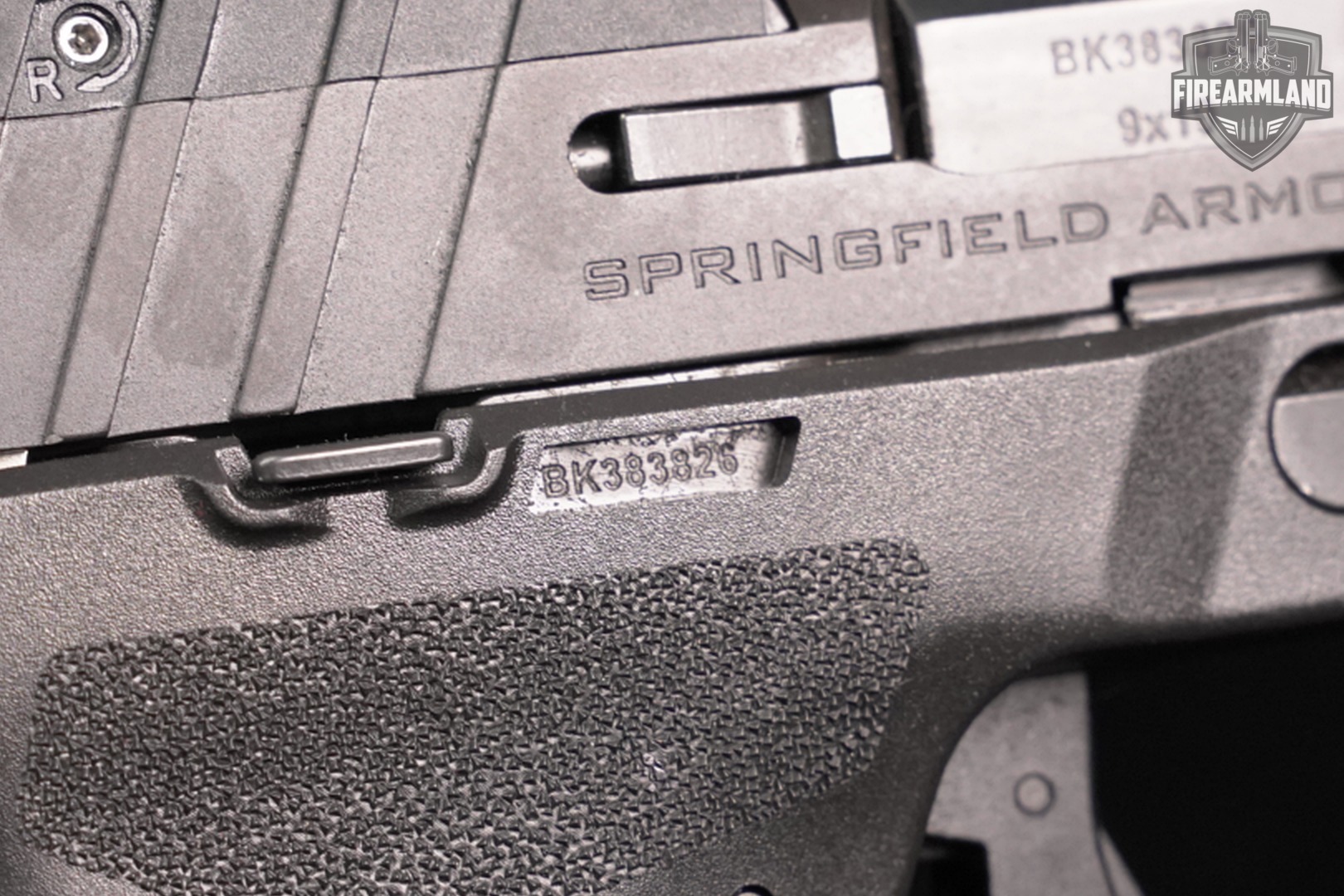 Springfield Armory Echelon 9mm 4.5" +4 MAGS, BAG, VIRIDIAN OPTICS-img-13