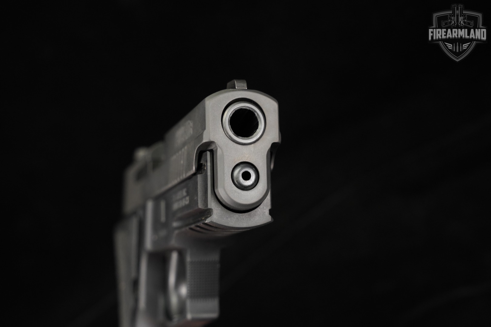 Sig Sauer P229 Elite 9mm 3.9" P-229 +5 MAGS-img-9