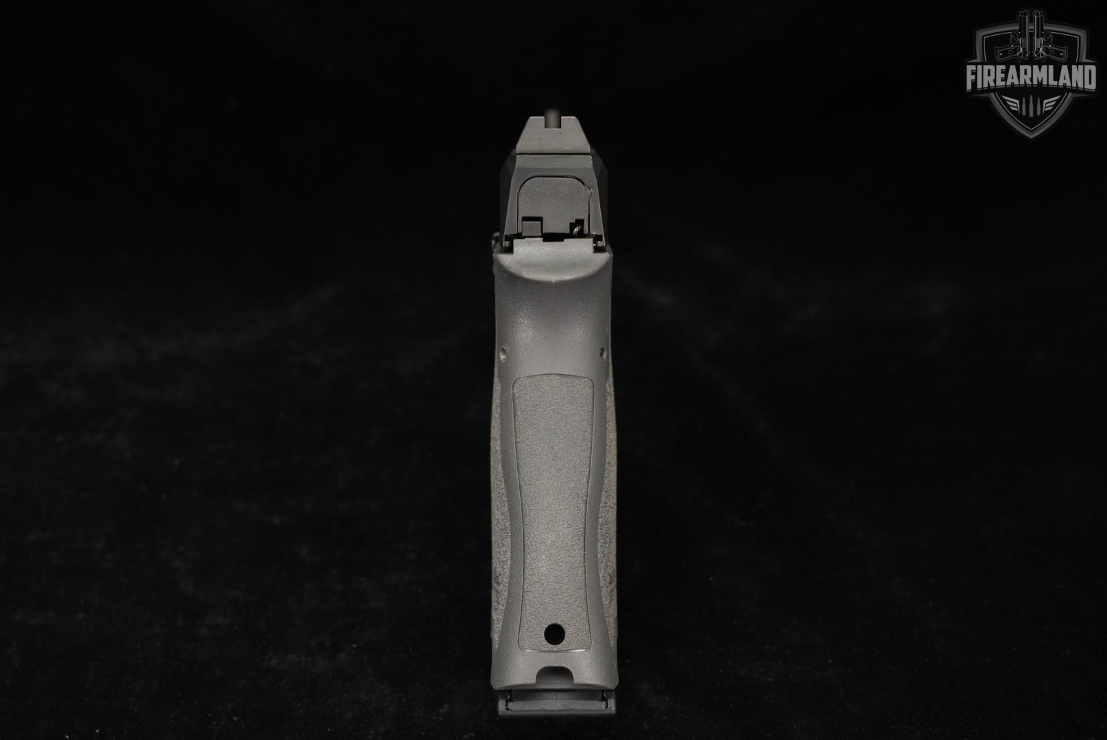 Palmetto State Armory PSA Dagger Full Size-S 9mm +4 MAGS, VIRIDIAN LASER-img-8