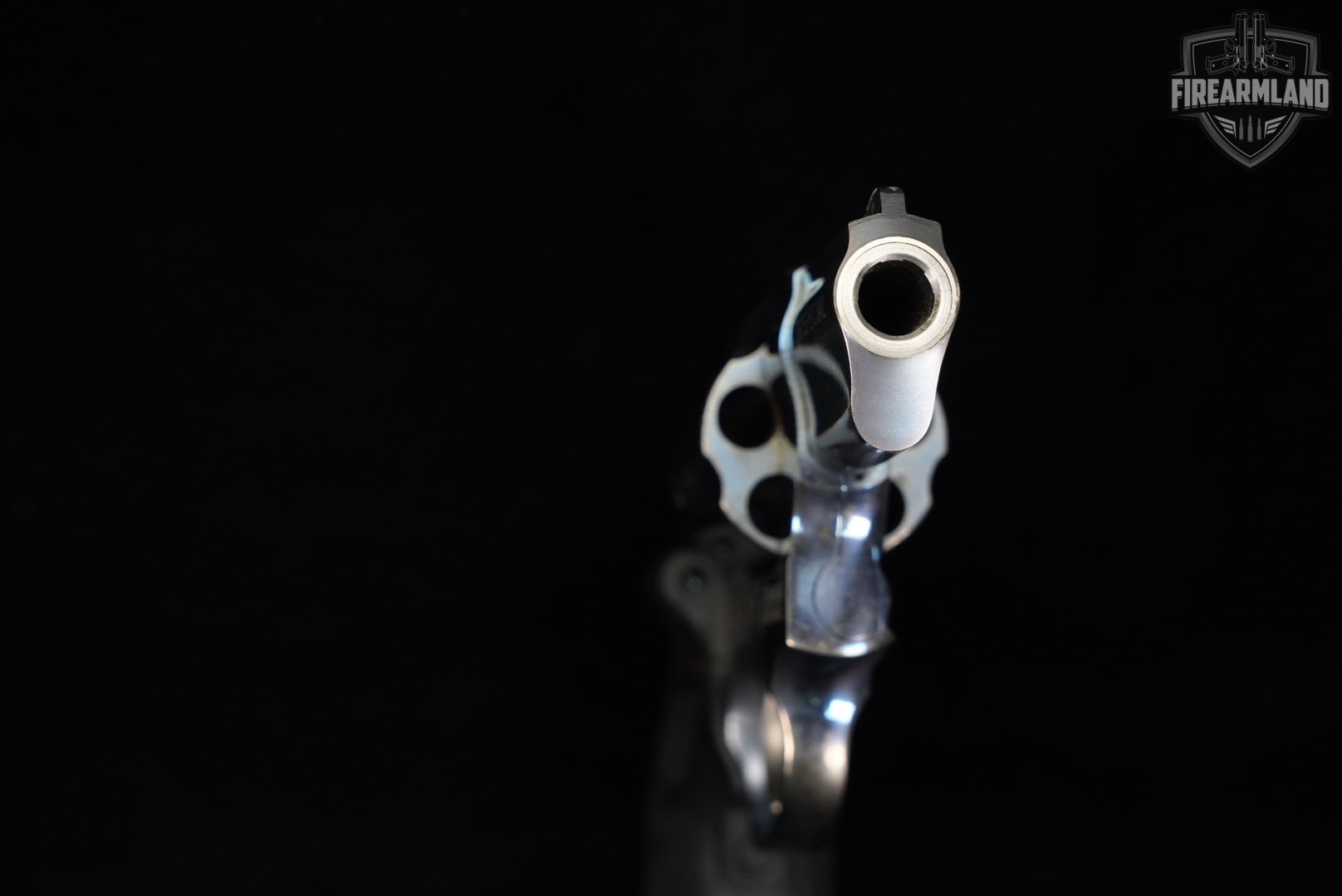 Taurus Model 85 Total Titanium PORT 38 Special 2" DA/SA M85-img-9