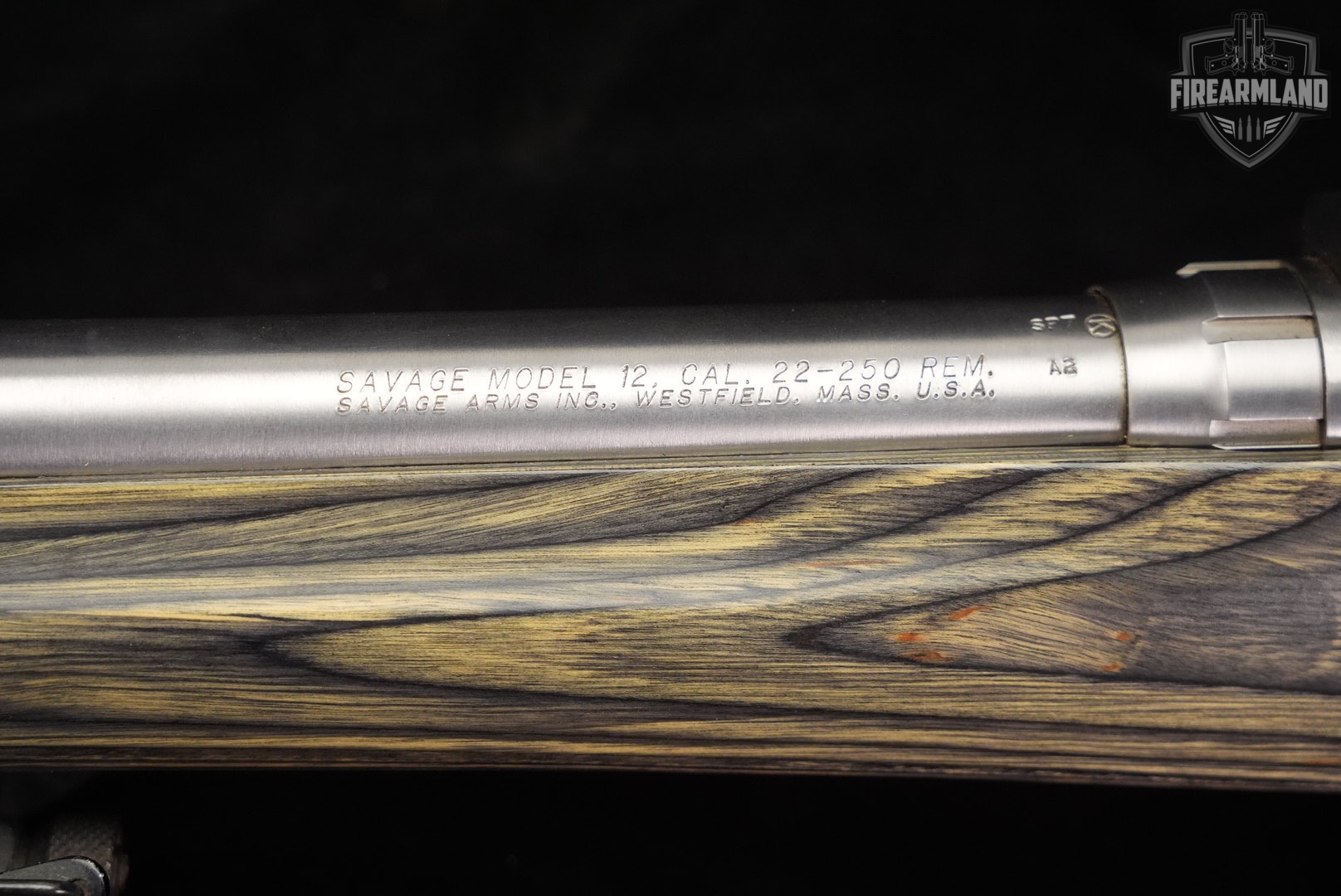Savage Arms Model 12 BVSS 22-250 Rem 26" Gray/Green Laminate M12 +BIPOD-img-19