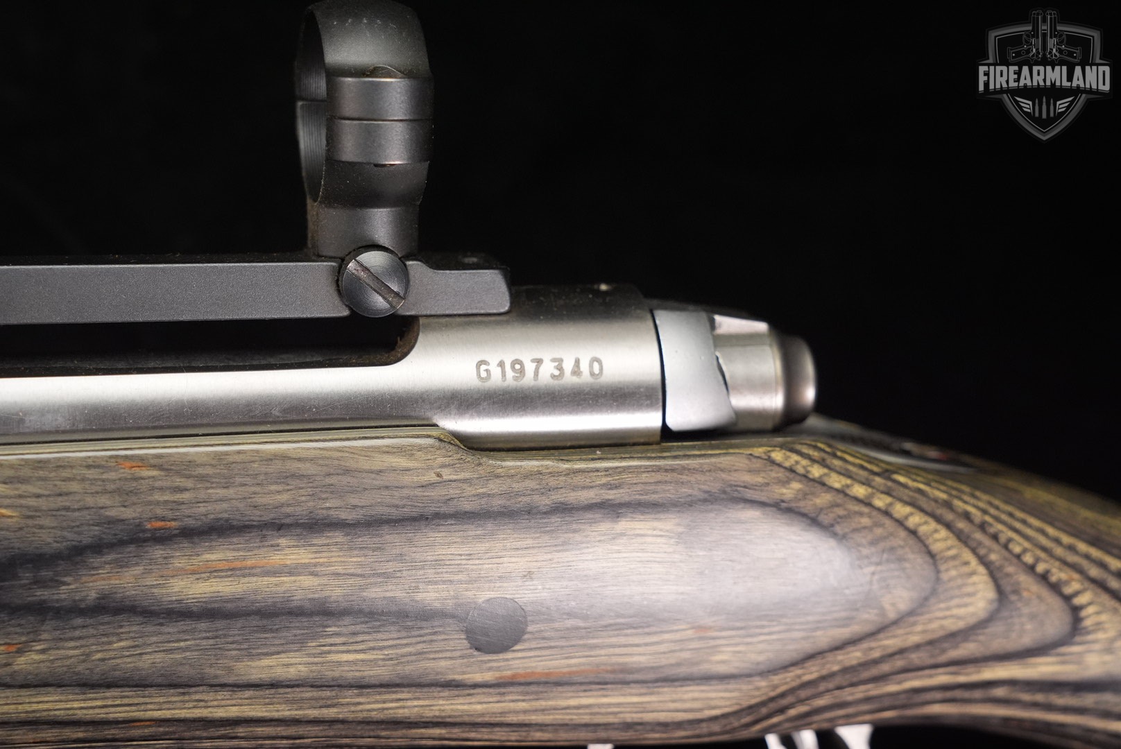 Savage Arms Model 12 BVSS 22-250 Rem 26" Gray/Green Laminate M12 +BIPOD-img-20