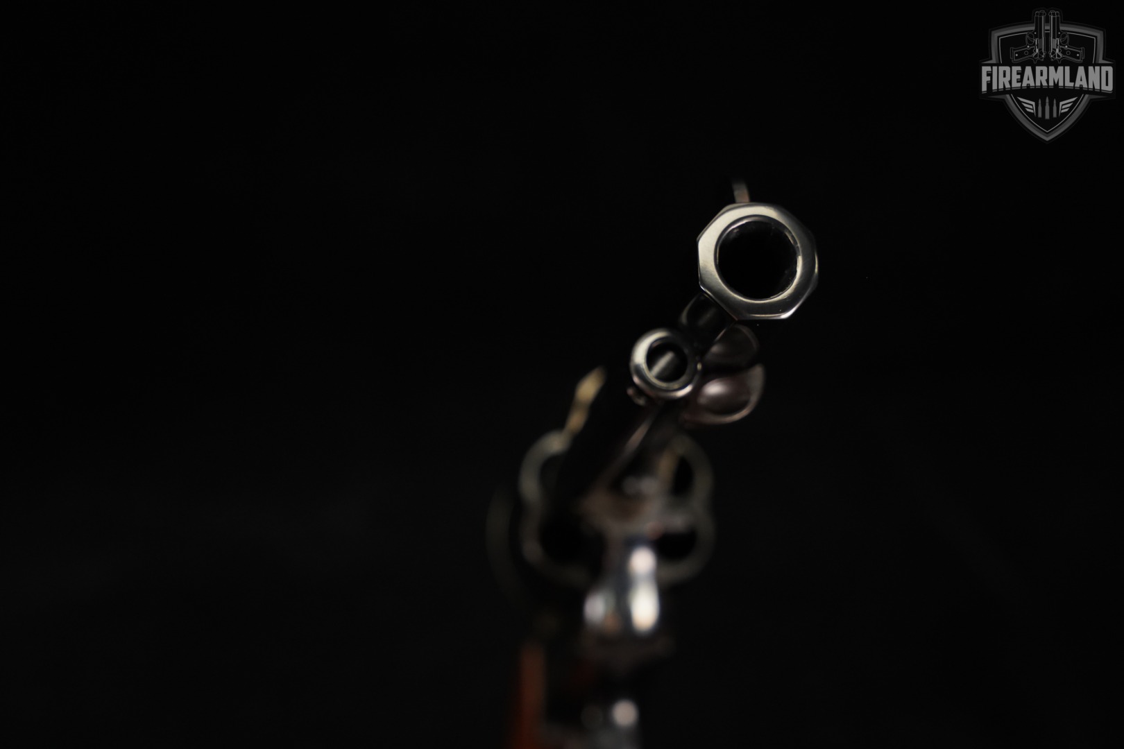 F.lli Pietta 1873 SA El Malo 45 Colt Flli 5.5" SAA Cimarron OCTAGON-img-9