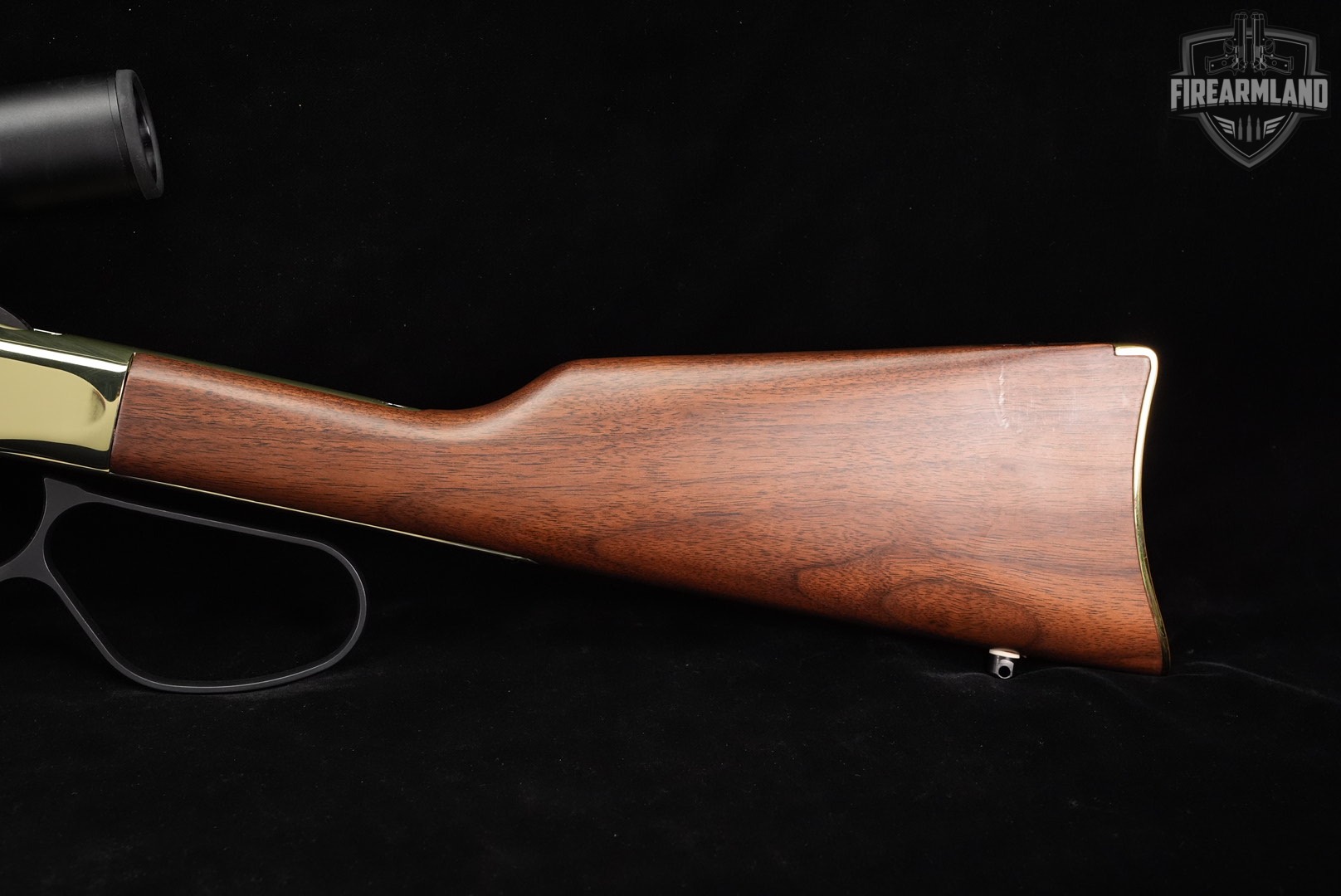 Henry Golden Boy 22LR 20 Brasslite & Walnut H004 OCTAGON +BUSHNELL SCOPE-img-10