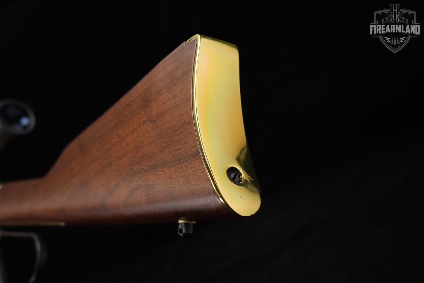 Henry Golden Boy 22LR 20 Brasslite & Walnut H004 OCTAGON +BUSHNELL SCOPE-img-17