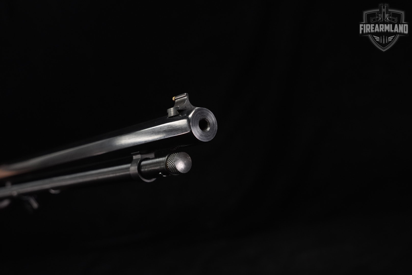 Henry Golden Boy 22LR 20 Brasslite & Walnut H004 OCTAGON +BUSHNELL SCOPE-img-18