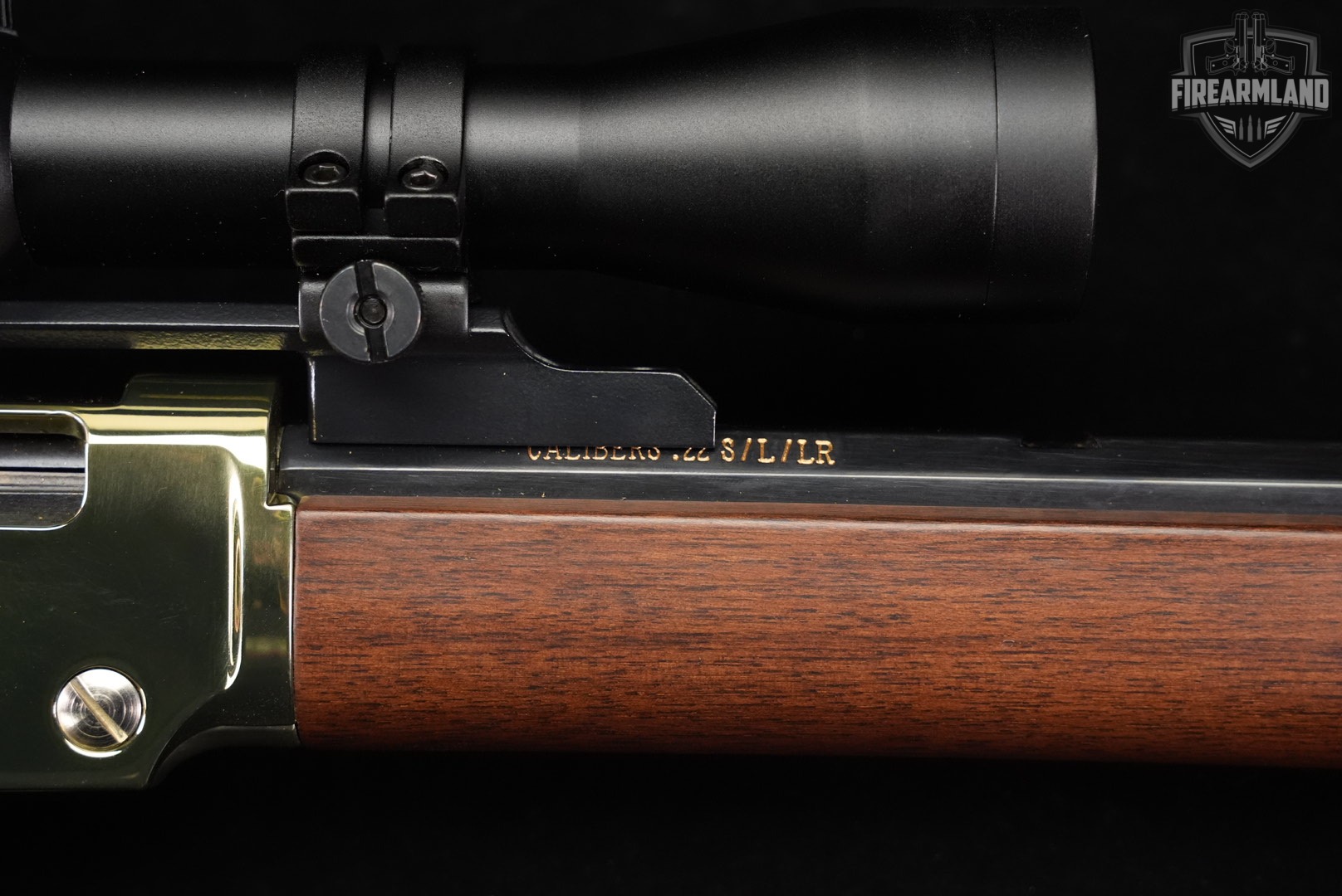 Henry Golden Boy 22LR 20 Brasslite & Walnut H004 OCTAGON +BUSHNELL SCOPE-img-20