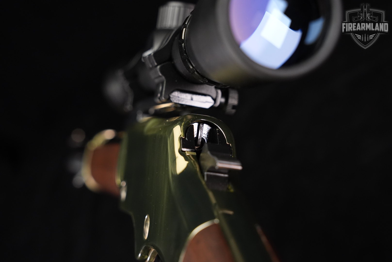 Henry Golden Boy 22LR 20 Brasslite & Walnut H004 OCTAGON +BUSHNELL SCOPE-img-21
