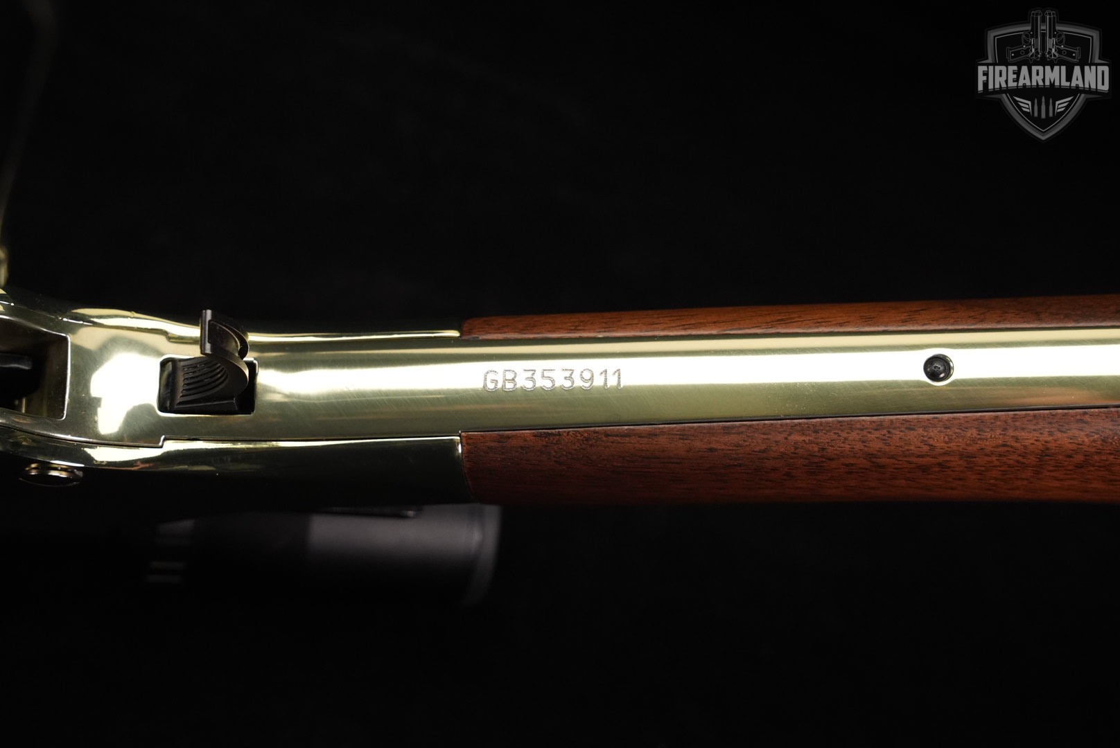 Henry Golden Boy 22LR 20 Brasslite & Walnut H004 OCTAGON +BUSHNELL SCOPE-img-24