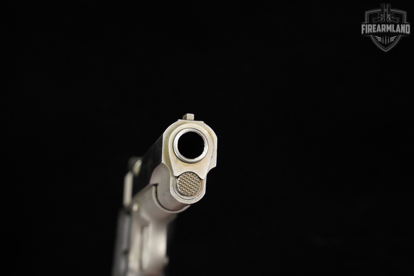 AMT Hardballer 45 ACP 1911 5" Stainless-img-9