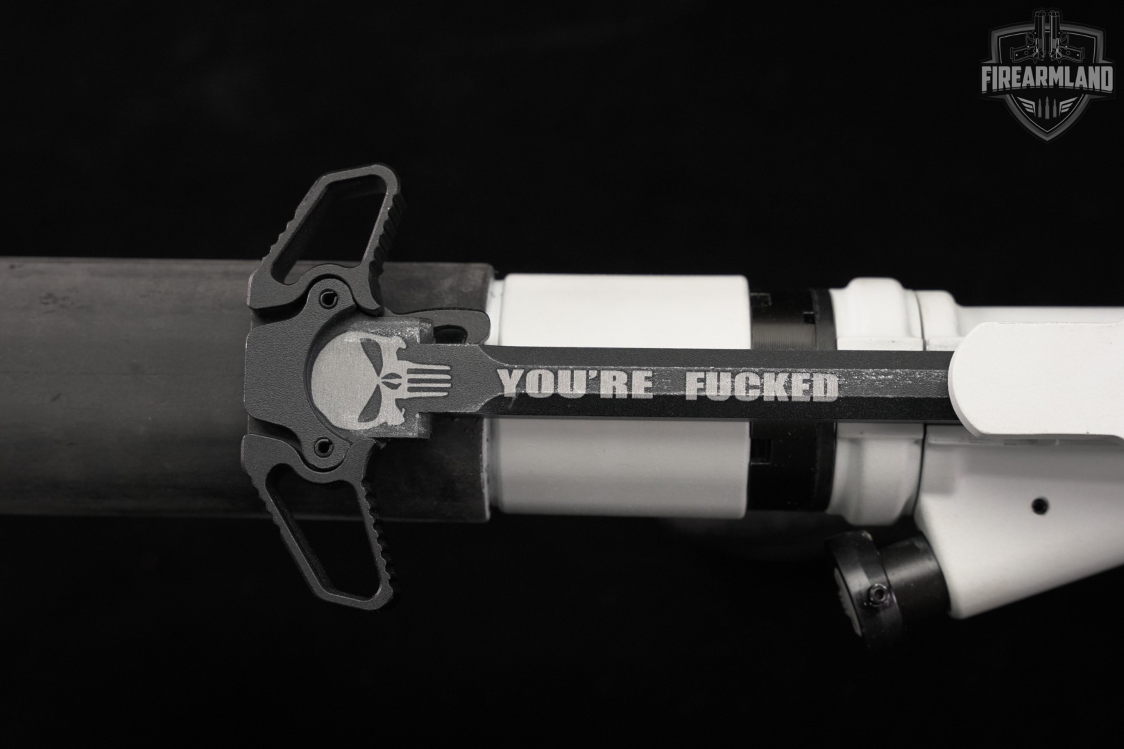 Del-Ton DTI-15 5.56 NATO AR15 16" STORMTROOPER AR DTI15 +2 MAGS-img-15