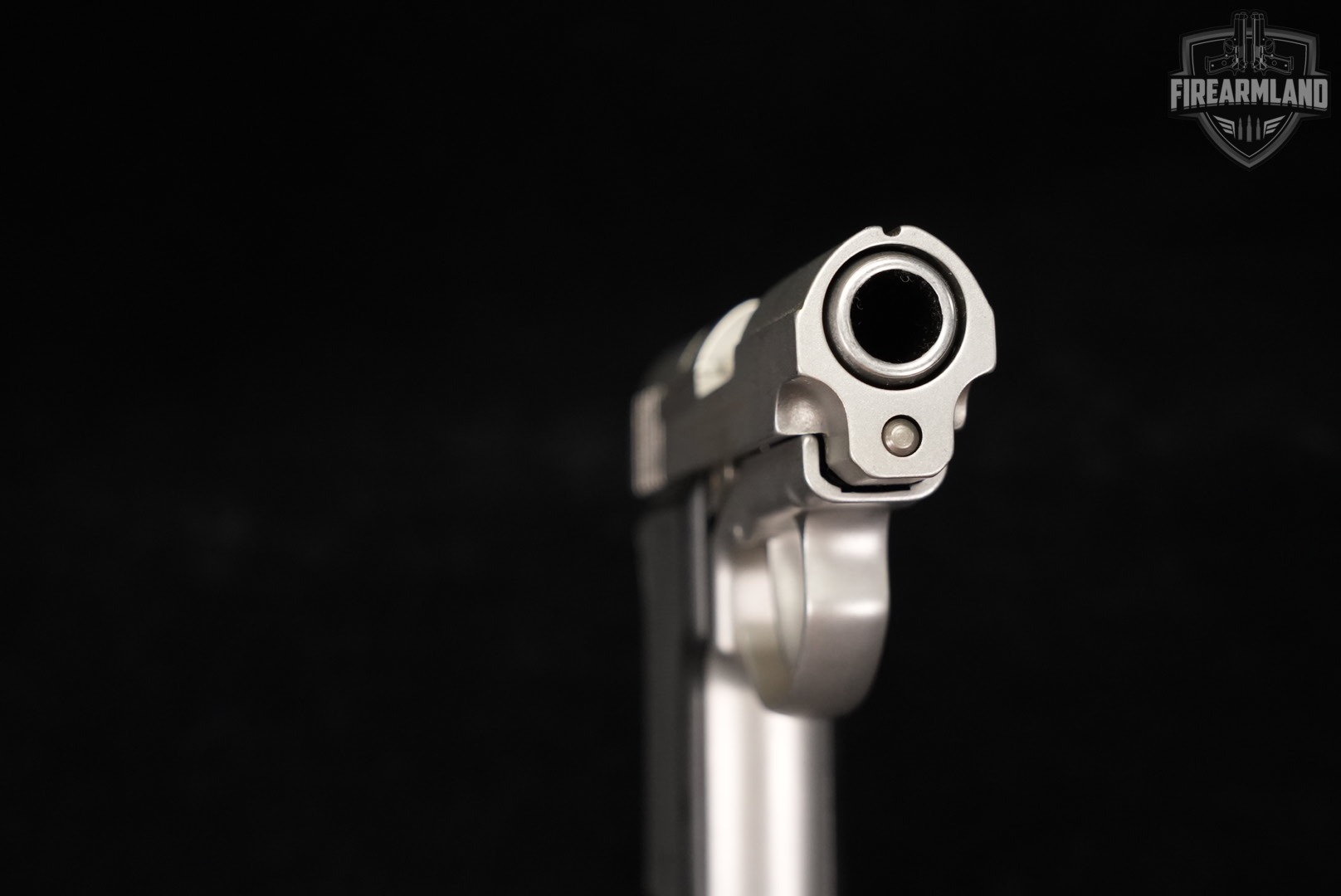 AMT Backup DOUBLE ACTION ONLY 45 ACP 3" Stainless +ORIG CASE-img-8