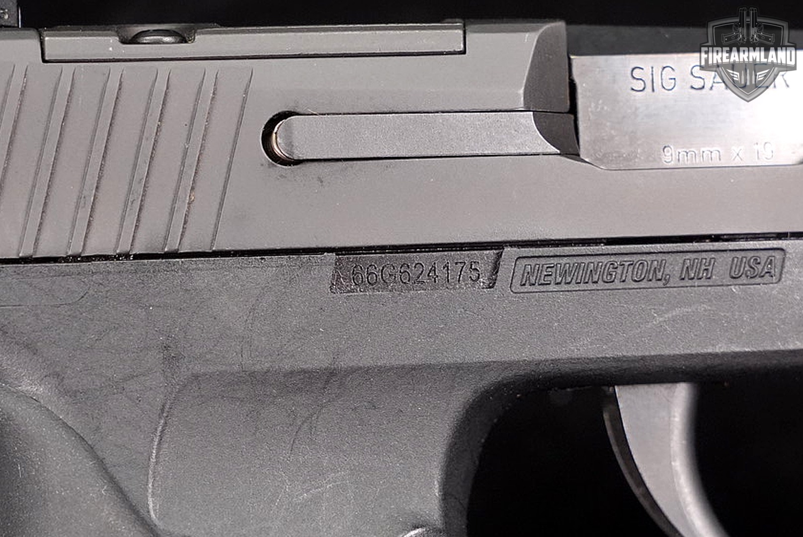 Sig Sauer P365 9mm 3.1 P 365 +3 MAGS, ORIG BOX, LIGHT, HOLSTER-img-13