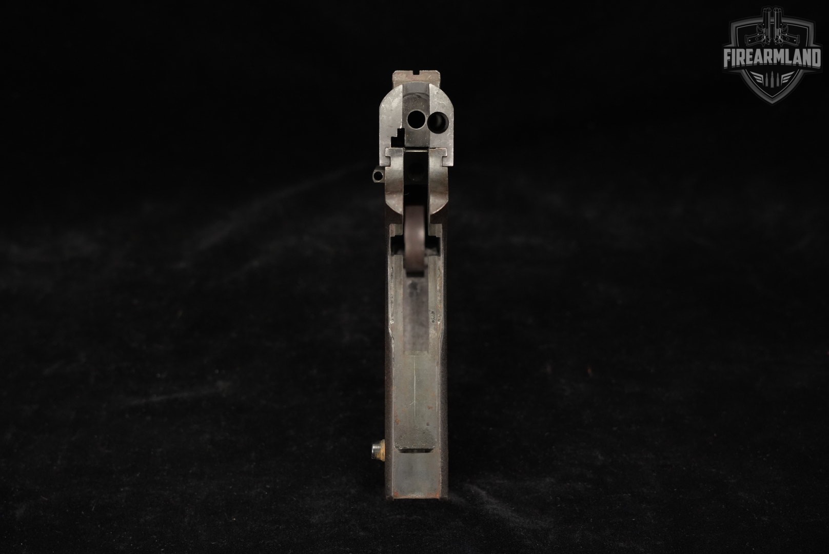 Essex Arms 1911 Government 45 ACP Blued RIA SLIDE-img-5