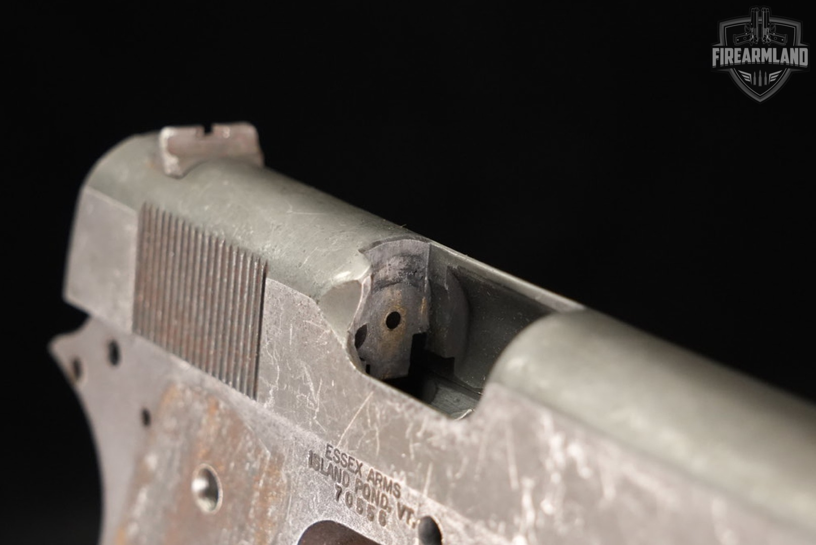 Essex Arms 1911 Government 45 ACP Blued RIA SLIDE-img-7