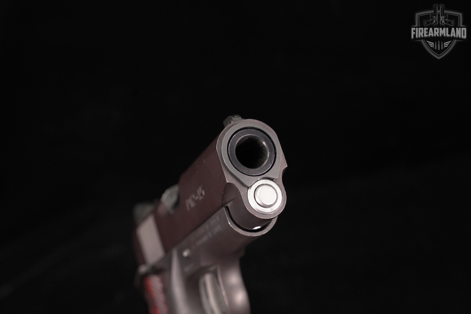 Para Ordnance P12.45 45 ACP 1911 3.75 2011 Officer CANADA-img-10
