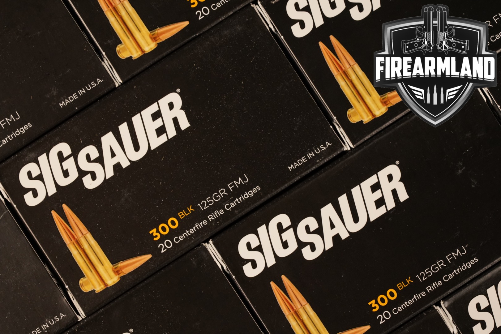 Sig Sauer .300 Blackout .300 AAC Blackout (7.62x35mm) in New - Old Stock Condition Thumbnail