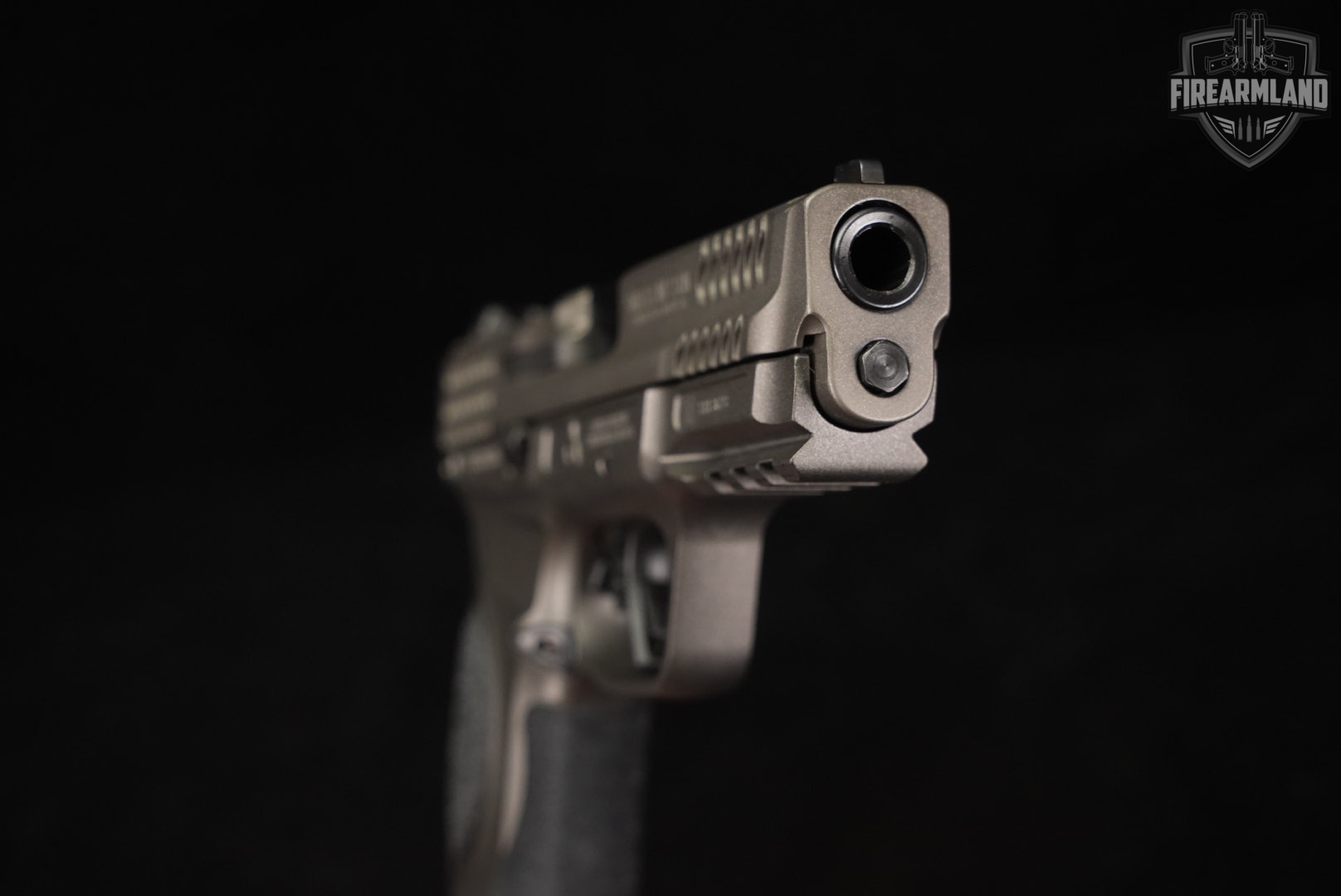 Swm2 FirearmLand