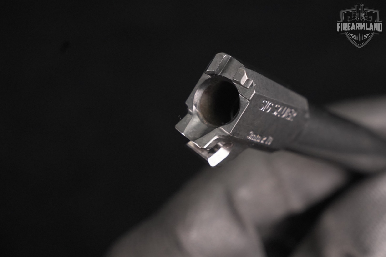 Sig Sauer P365 FUSE Slide Assembly 9mm Luger 4.3" Pistol Slides P-365-img-6