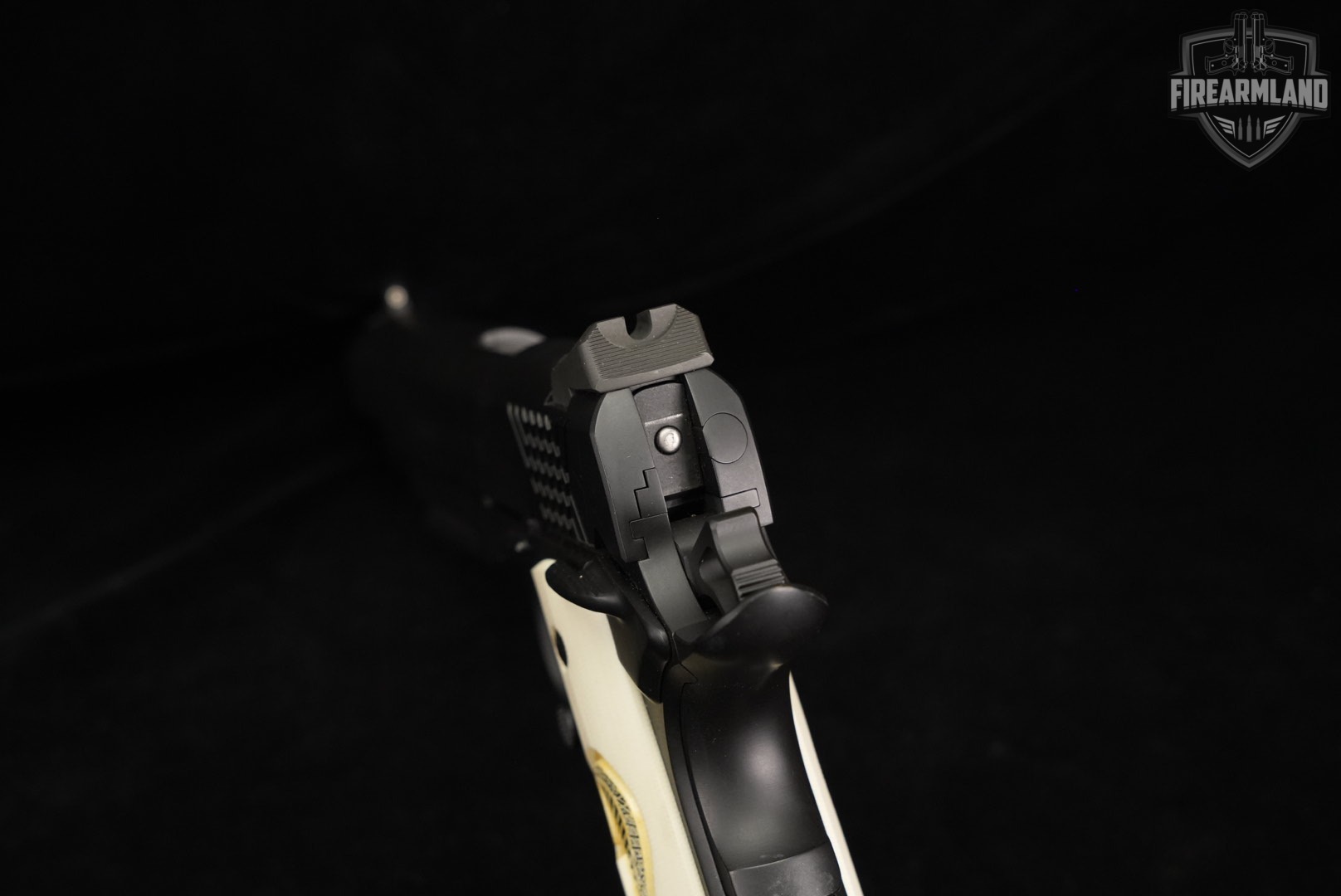 LIMITED Wilson Combat BCMGUNFIGHTER 1911 45 ACP WC Bravo Company-img-6