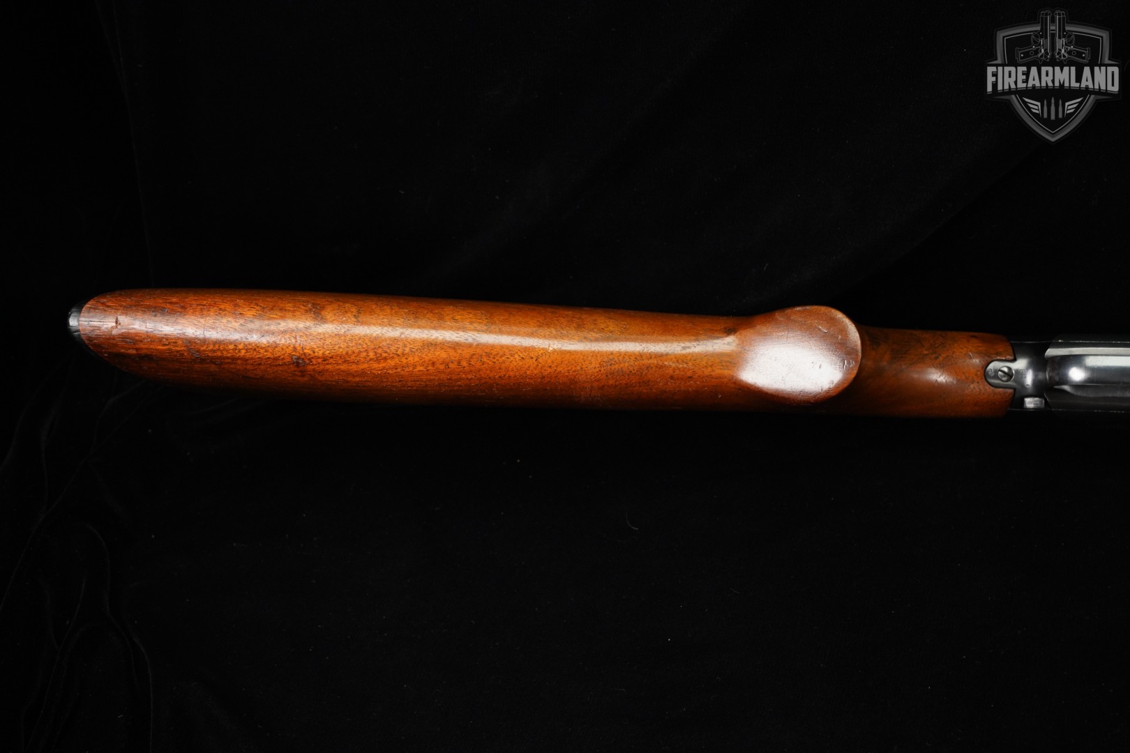 1951 Winchester Model 25 12-Gauge 28" Blued & Walnut M25-img-13