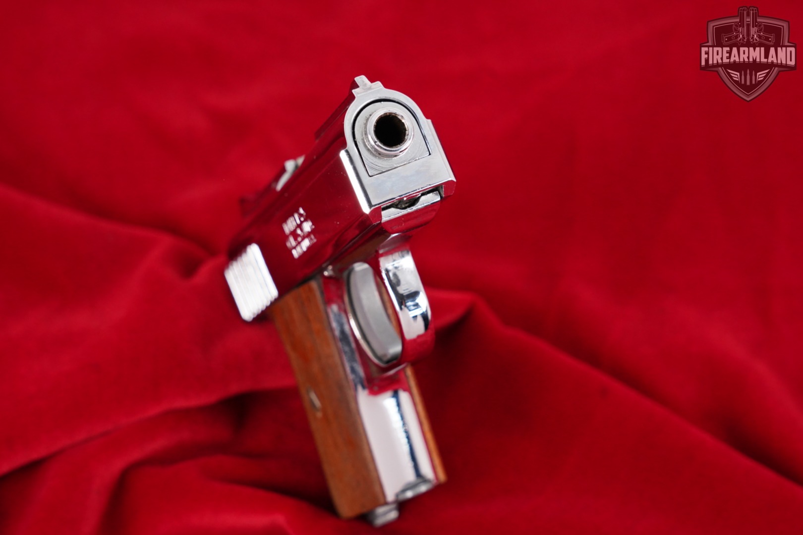 Raven Arms Model P-25 25ACP (6.35Mm) 2.5" Bright Nickel P25 +HOLSTER-img-8