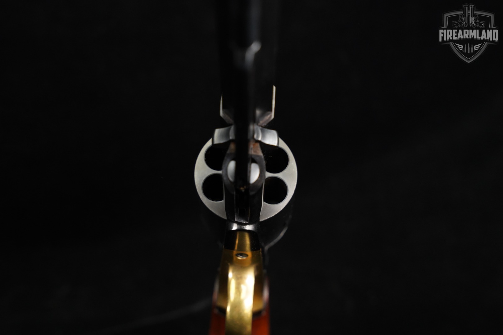 F.lli Pietta 1858 New Army 44 BPM Flli 8" Blued OCTAGON-img-9