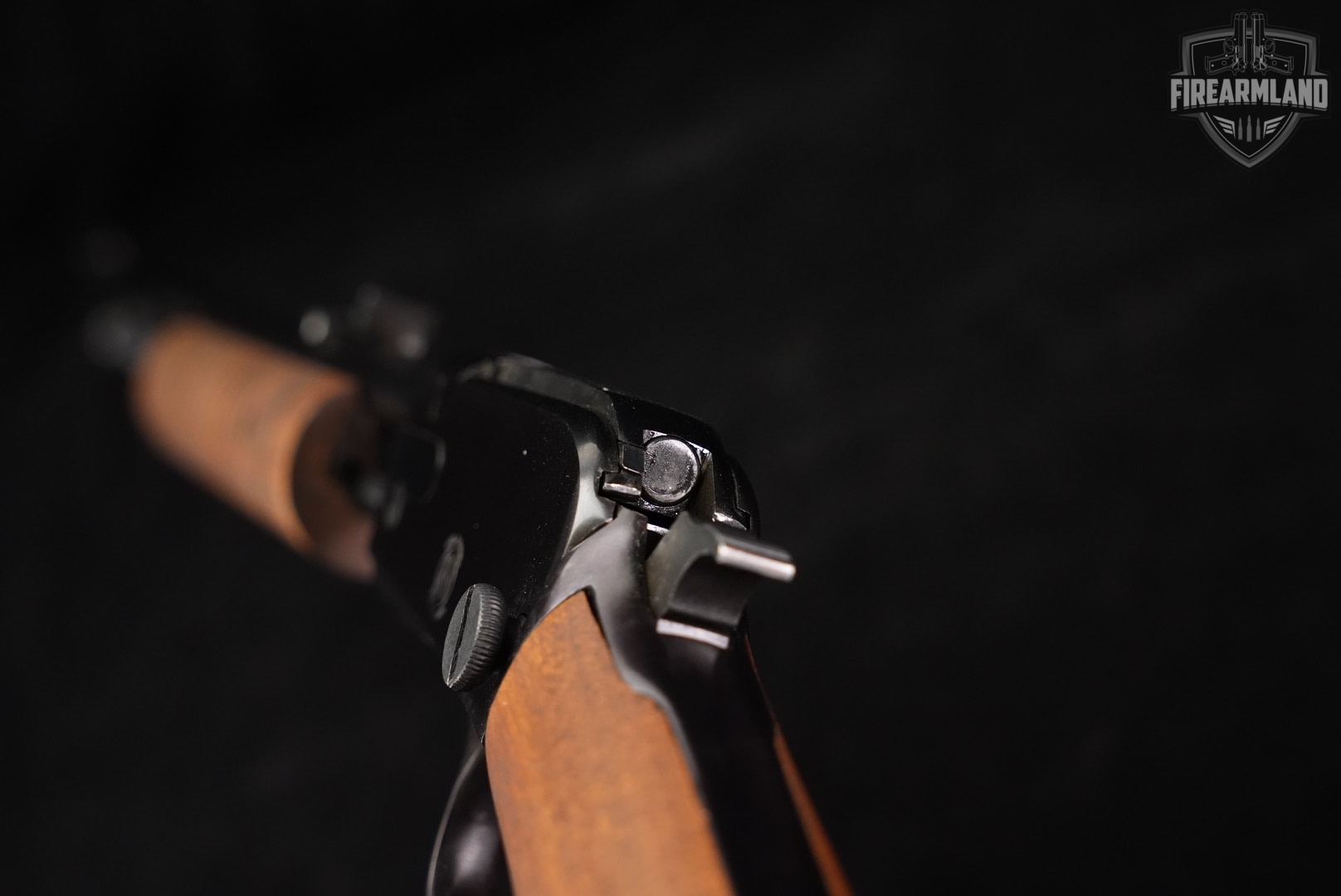 Rossi Model 62 SA Interarms Import 22LR 23" M62 62SA TAKEDOWN OCTAGON-img-23