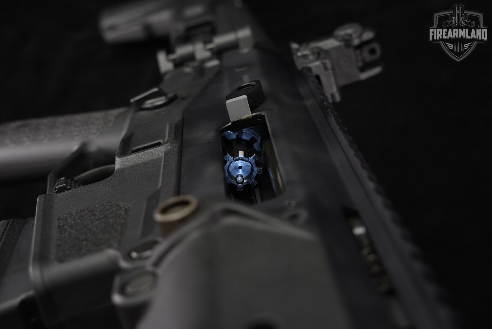 Bushmaster Model BACR 5.56 NATO 16.5" +2 MAGS-img-22