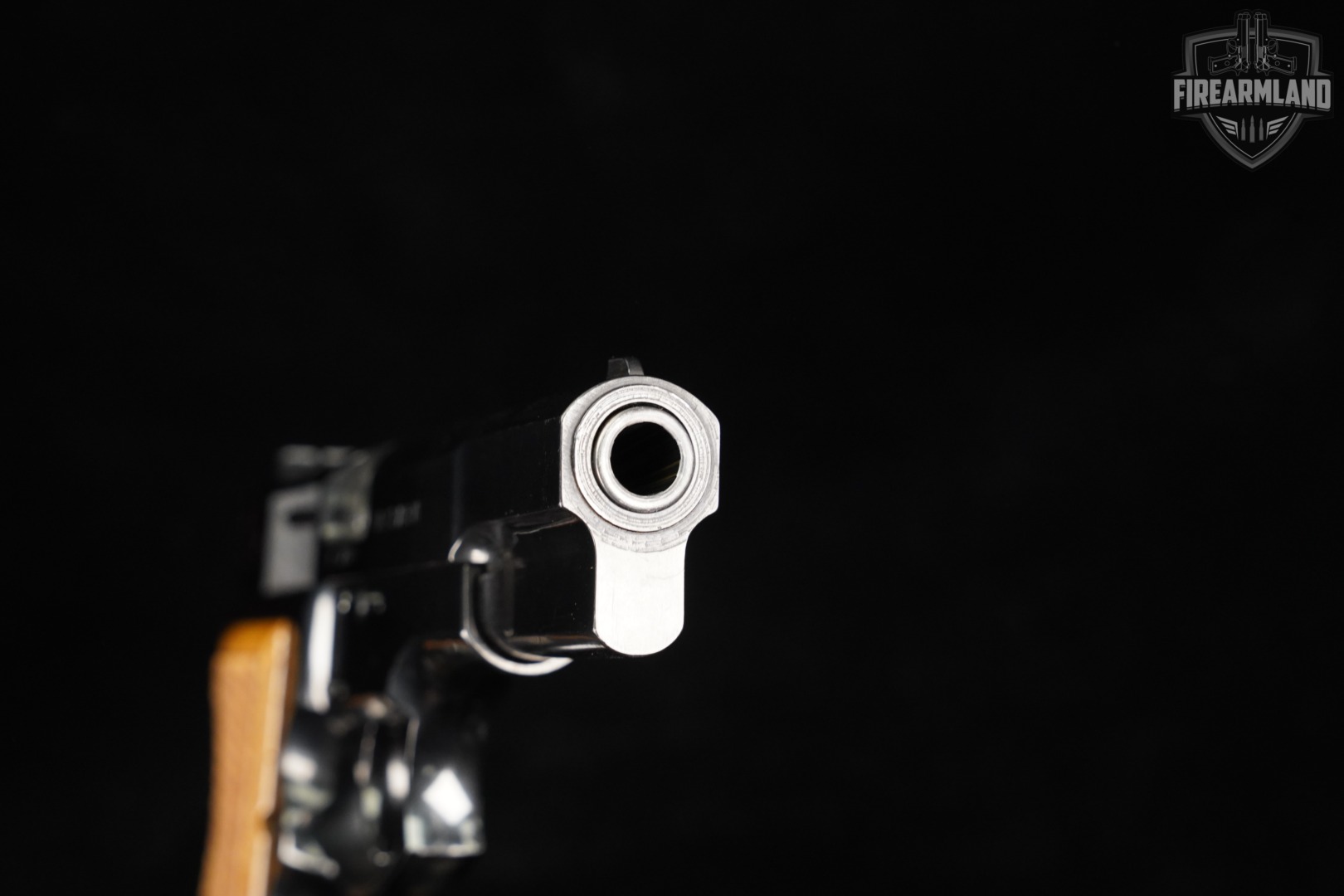 FEG P9R 9mm 4.65" Blued Browning Hi-Power Lineage DA/SA-img-10