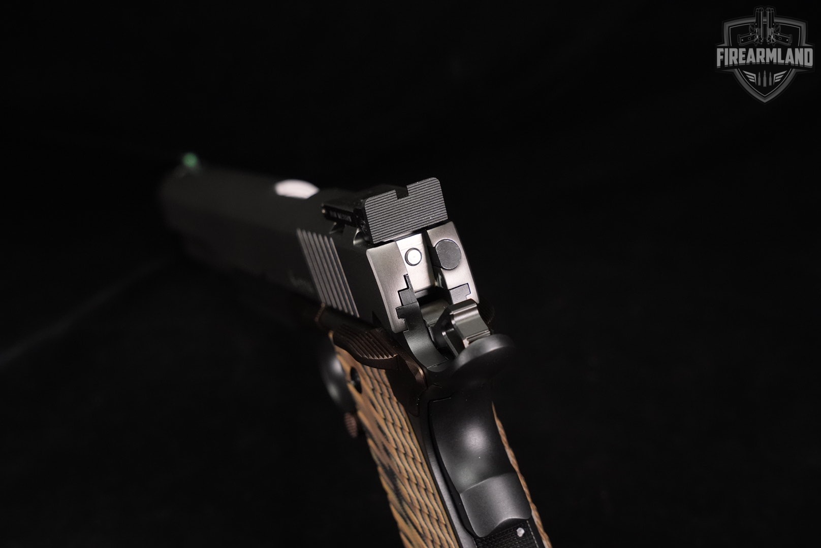 Dan Wesson Kodiak 10mm 1911 6" Tri-Tone +2 MAGS & ORIG BOX-img-6