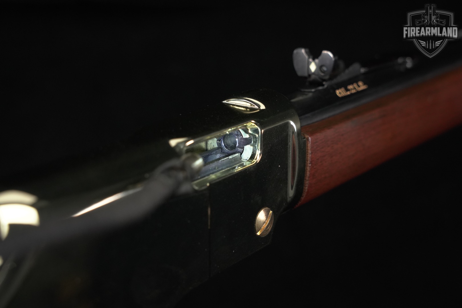 Henry Golden Boy H004 22LR 20