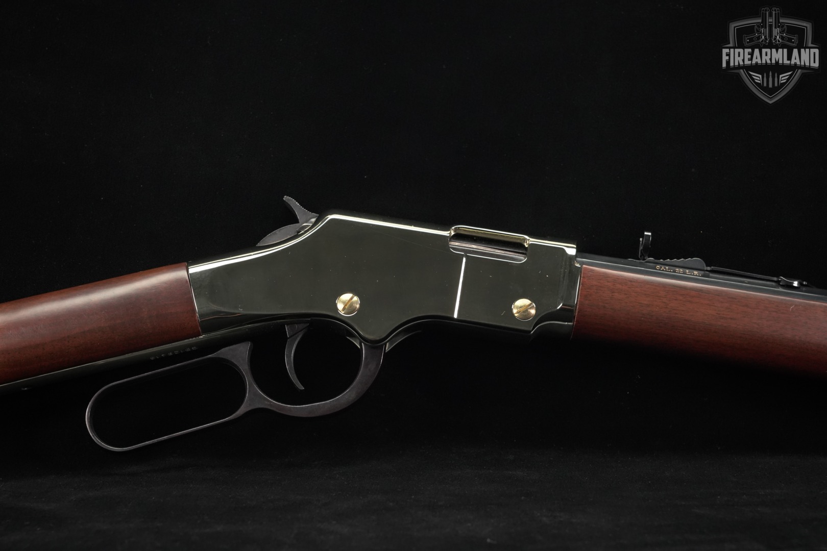 Henry Golden Boy H004 22LR 20