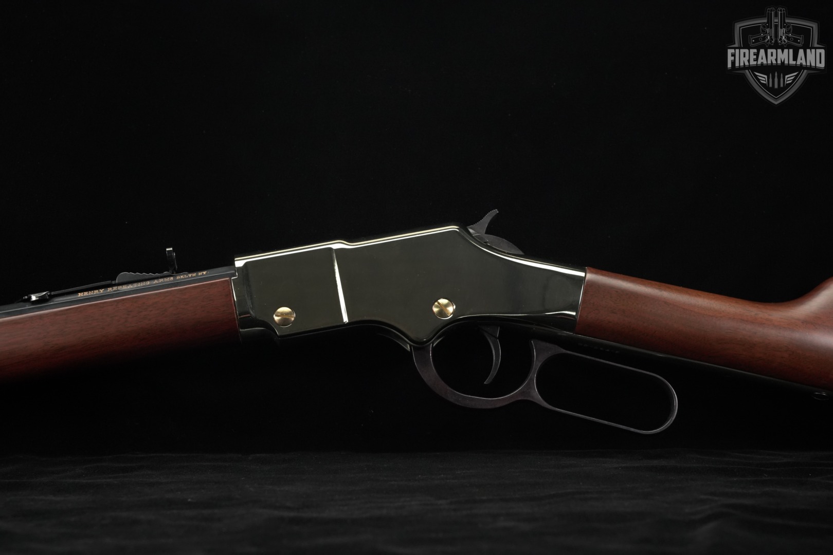 Henry Golden Boy H004 22LR 20