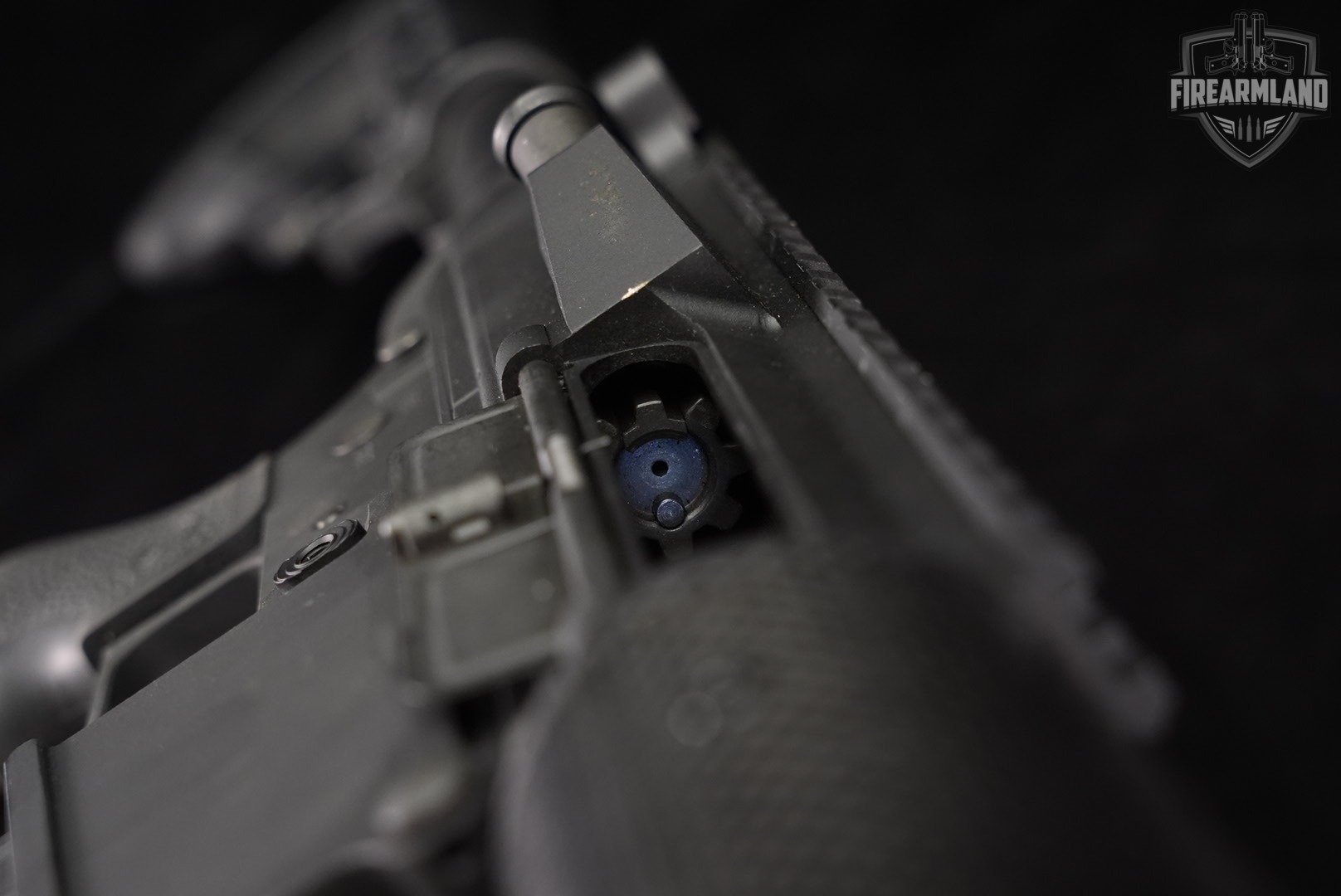 DPMS Panther Arms LR-308 308Winchester AR-10 AR10 20 LR308 +5 MAGS-img-22