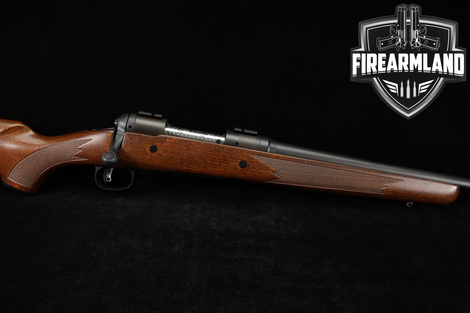 Savage Arms Model 10 .243 Win. Blued & Hardwood in Good Condition Thumbnail