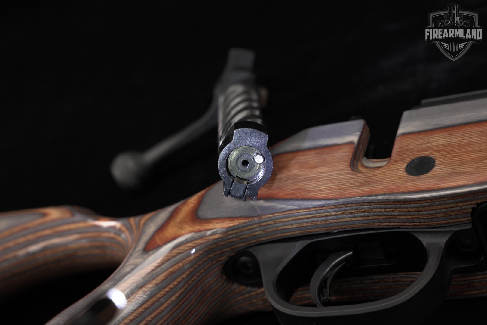 Mossberg Patriot 243 Win 22 Blued & Laminate +2 MAGS-img-16