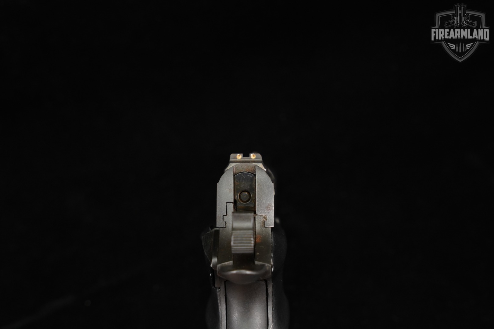 DISCONTINUED Llama Micro Max 380 ACP 1911 3.75" Blued-img-8