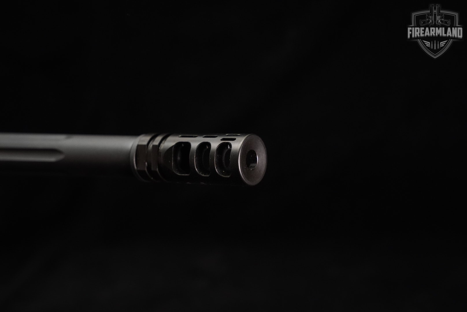 Savage Arms Model 10 BA Stealth 6.5 CM 24" M10 AccuTrigger M-LOK +BIPOD-img-17