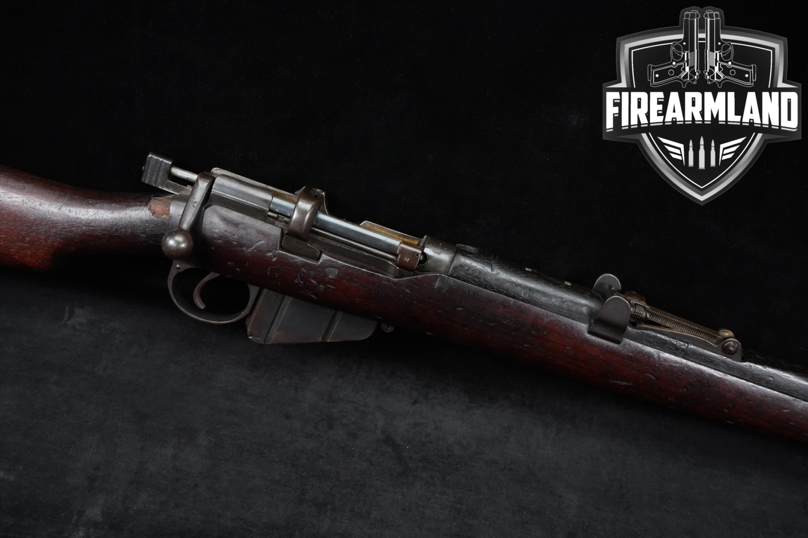 https://cash-for-arms-pictures.s3.amazonaws.com/recKXhw4xaQwUlXy7/1.jpg